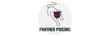 Panther Solutions: Democratising Access to Robust Price Optimisation